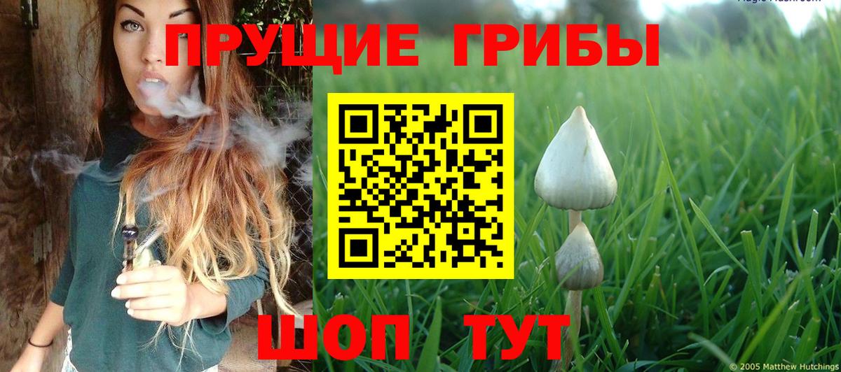 Долгопрудный  Псилоцибиновые грибы GOLDEN TEACHER  Вход с VPN 